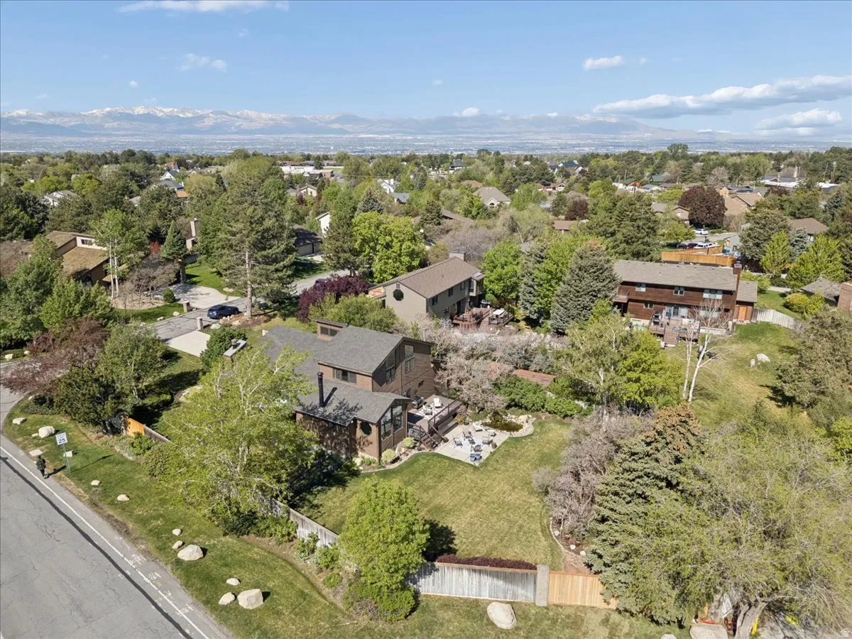 Sloped yard with extensive mature trees and a fenced boundary