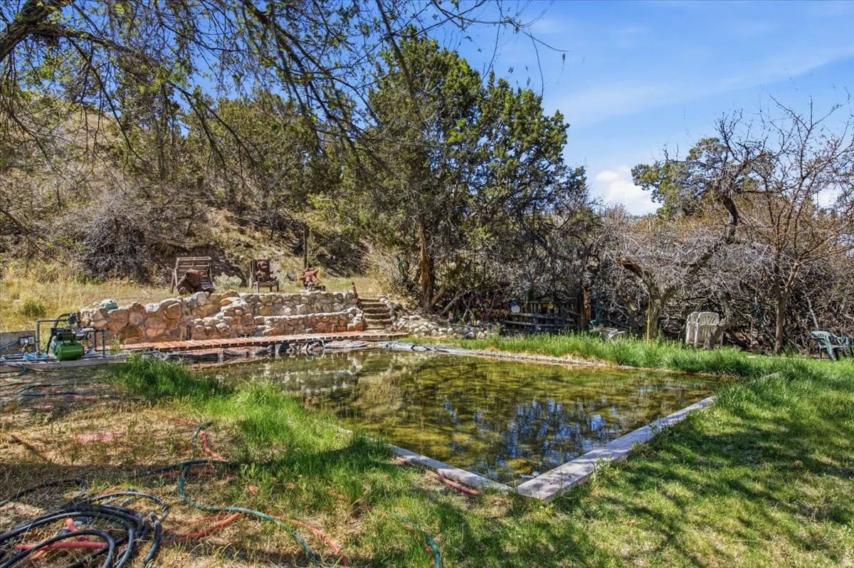 Outdoor water feature with a stone and wood-finish surround, bordered by mature trees and natural landscaping
