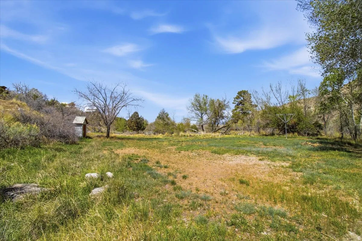 Expansive lot featuring varied terrain, mature trees, and a small outbuilding