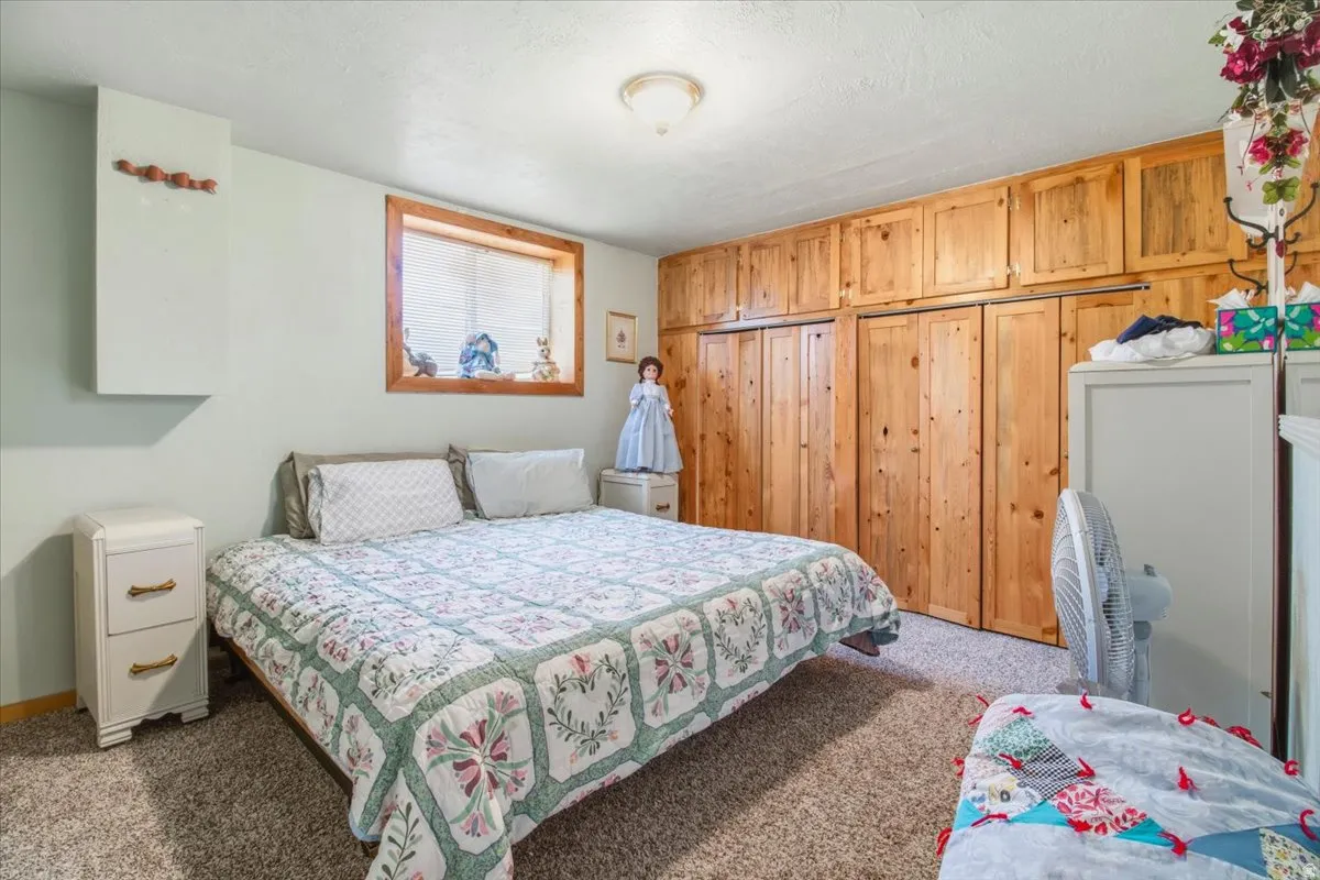 Carpeted room featuring a built-in wood-finish storage system with upper cabinetry and closet doors