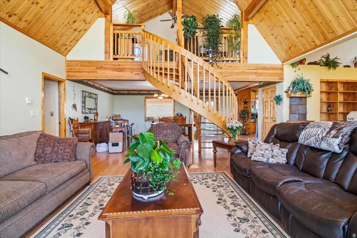 Vaulted wood-paneled ceilings with exposed beams