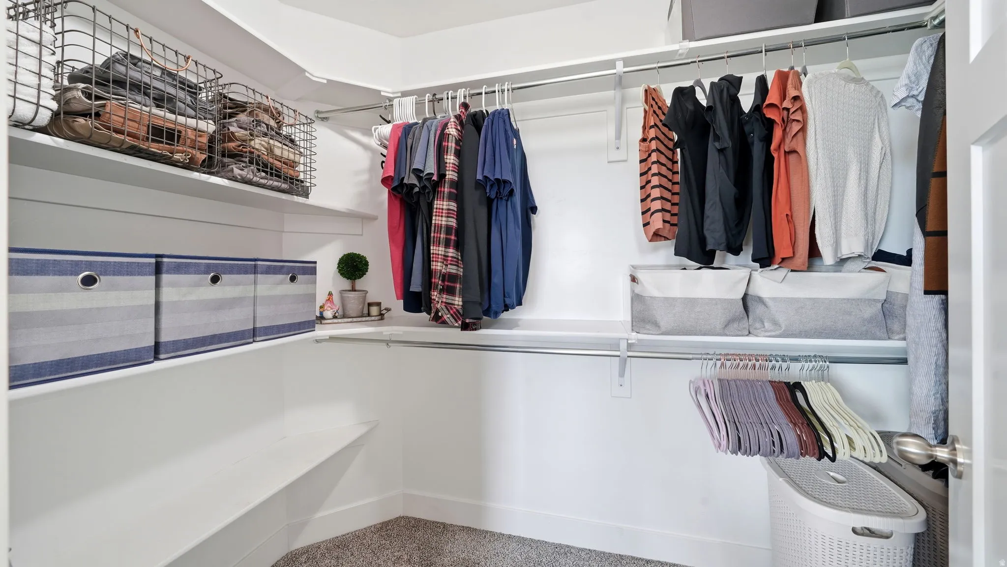Walk-in closet featuring white shelving