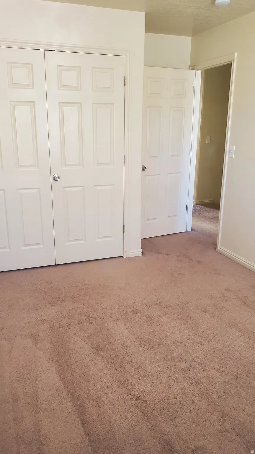 Brown carpeted flooring and white paneled doors