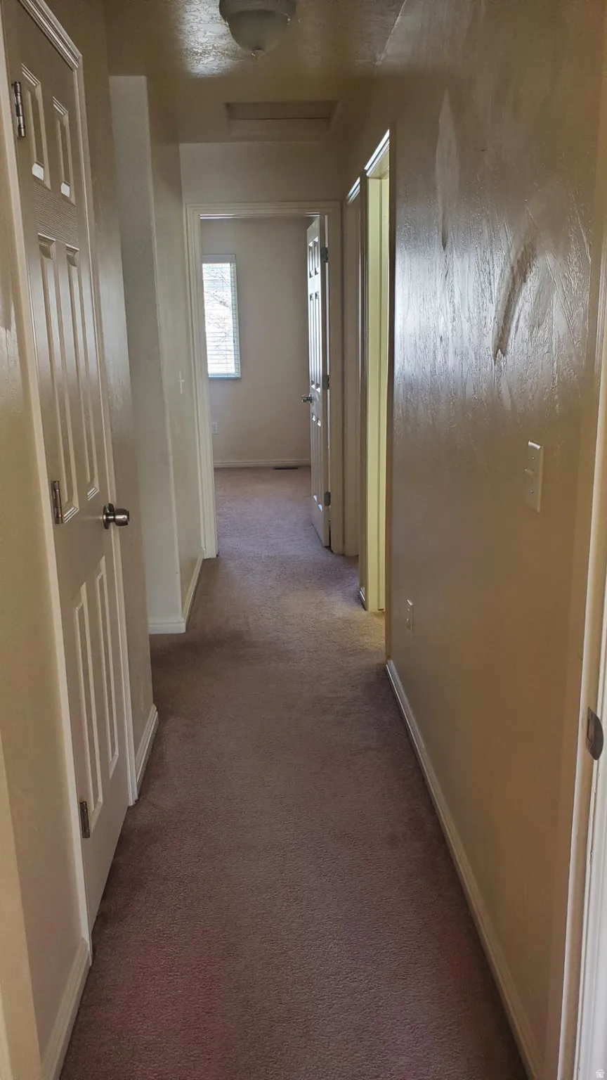 Hallway featuring carpet flooring, neutral wall paint, white baseboards, and a ceiling-mounted light fixture