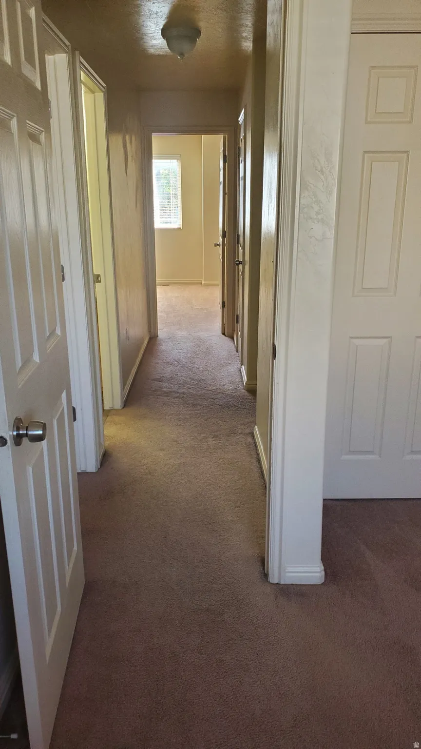 Hallway featuring light-toned walls and complementary carpeting