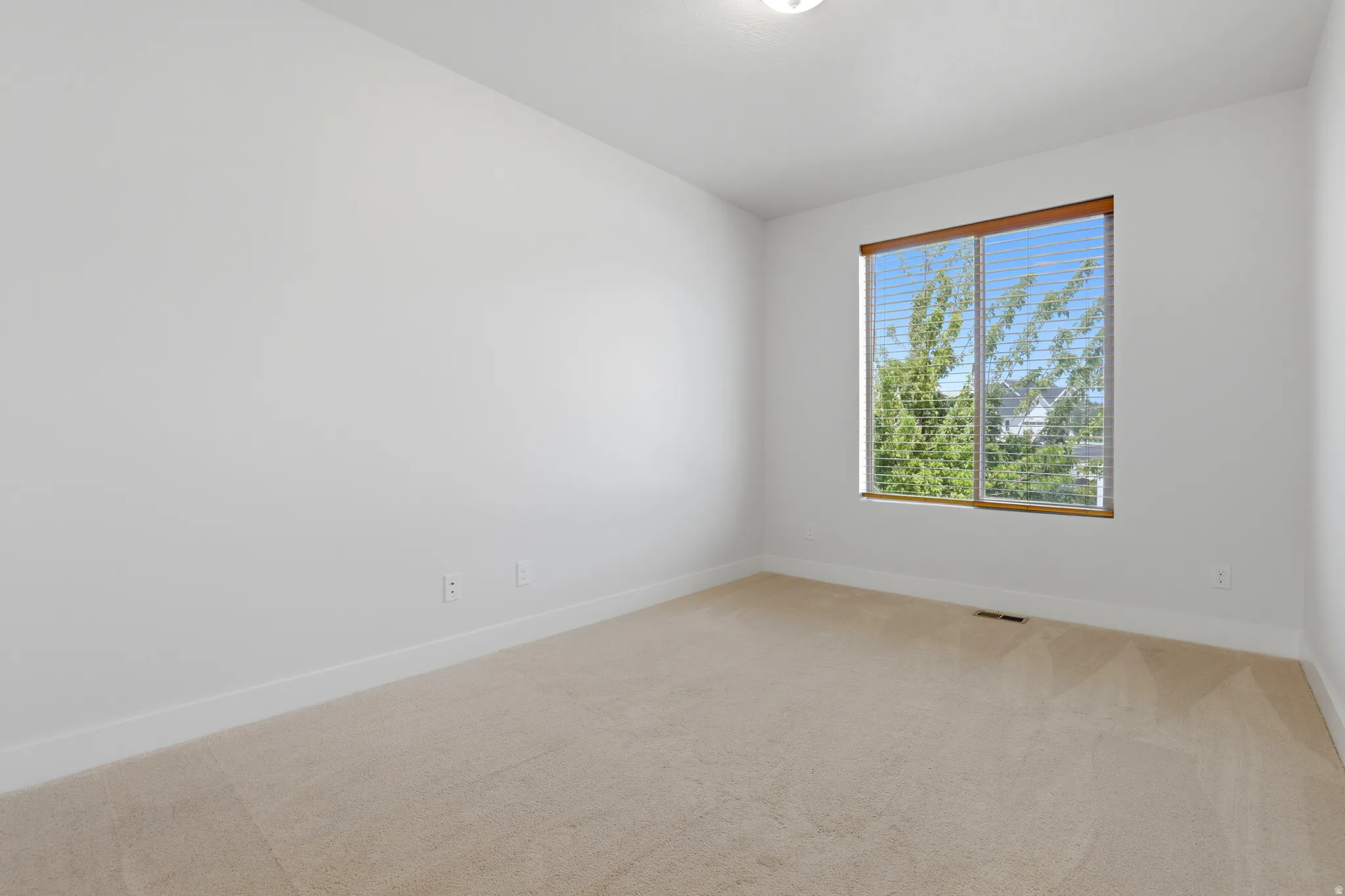 Neutral-toned carpeting paired with white baseboards and walls