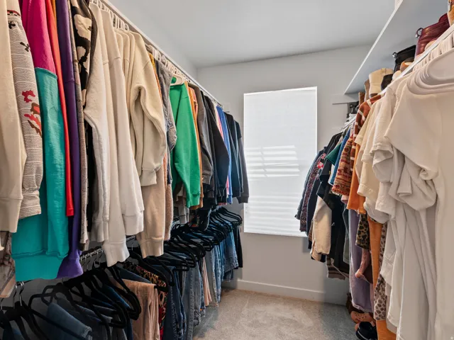 Walk-in closet featuring built-in shelving, hanging rods, light-toned carpeting, white baseboards, and a window with blinds