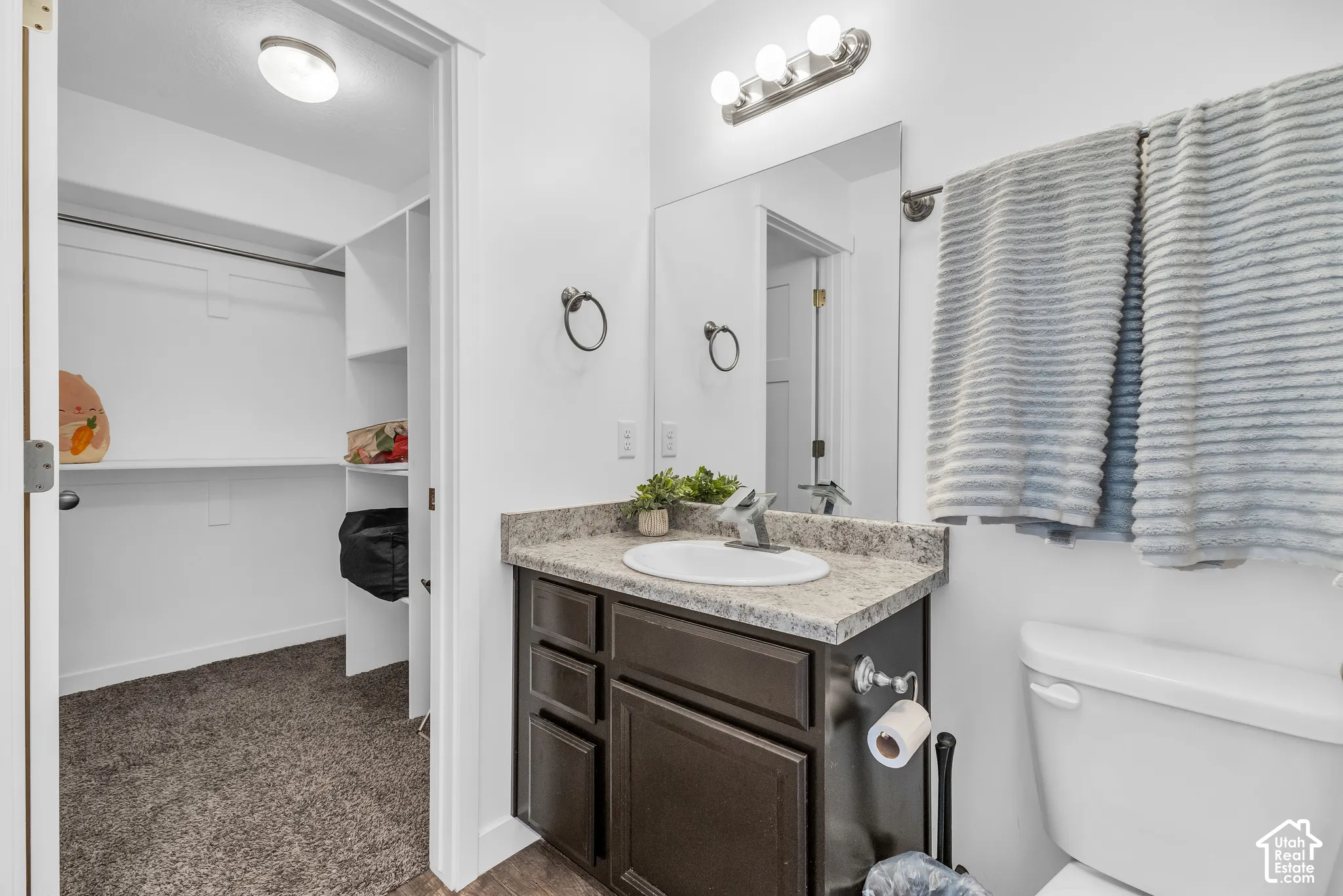 Bathroom vanity featuring a single basin sink, speckled countertop, dark wood-finish cabinetry, and brushed nickel hardware
