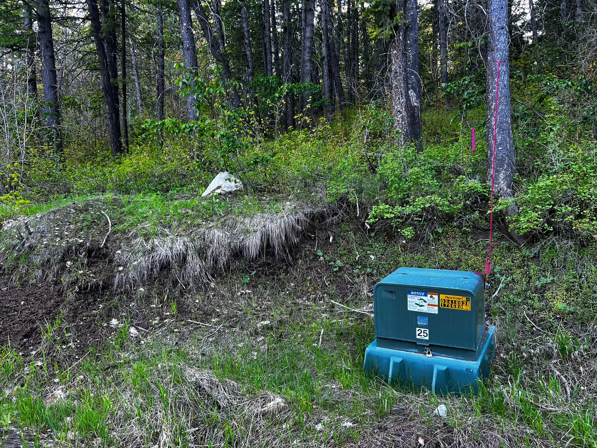 Wooded lot featuring mature trees and natural vegetation