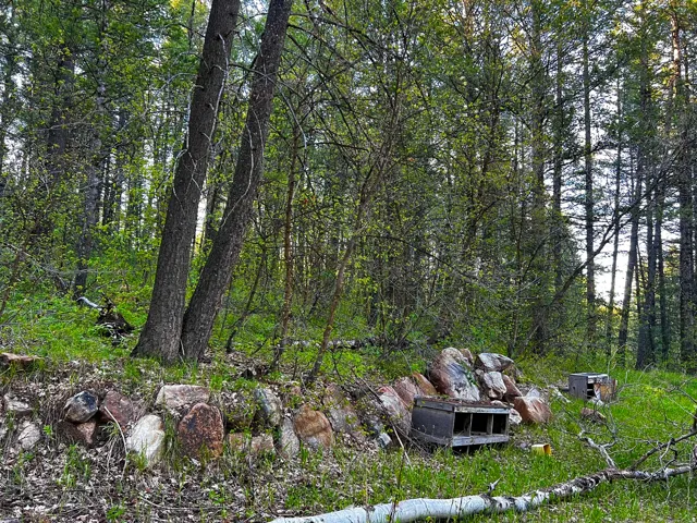 Wooded property featuring mature trees and natural rock formations