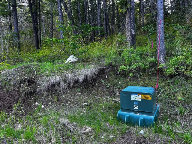 Wooded lot featuring mature trees and natural vegetation