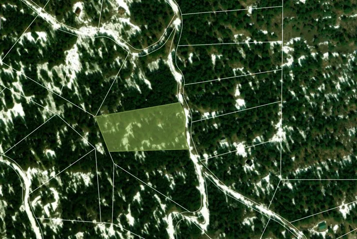 Plat Map. Illustrating the boundaries of the property within a larger land division