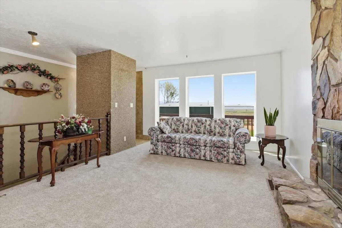 Carpeted living area featuring a stone-clad fireplace and hearth