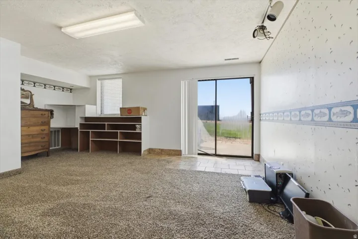 Room featuring sliding glass door to exterior, built-in shelving, carpet flooring, and track lighting
