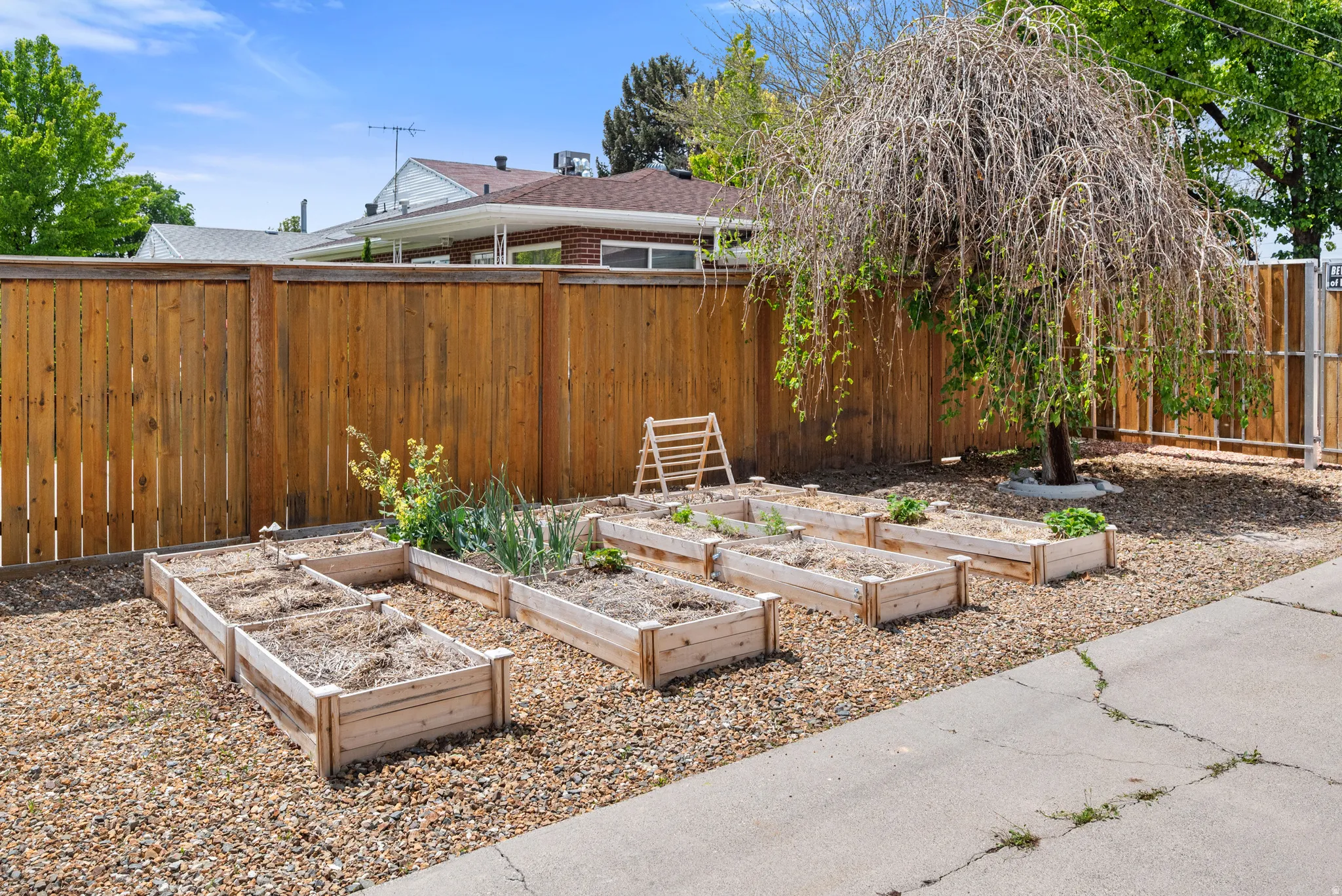 Private outdoor space featuring a new wood fence and multiple raised garden beds
