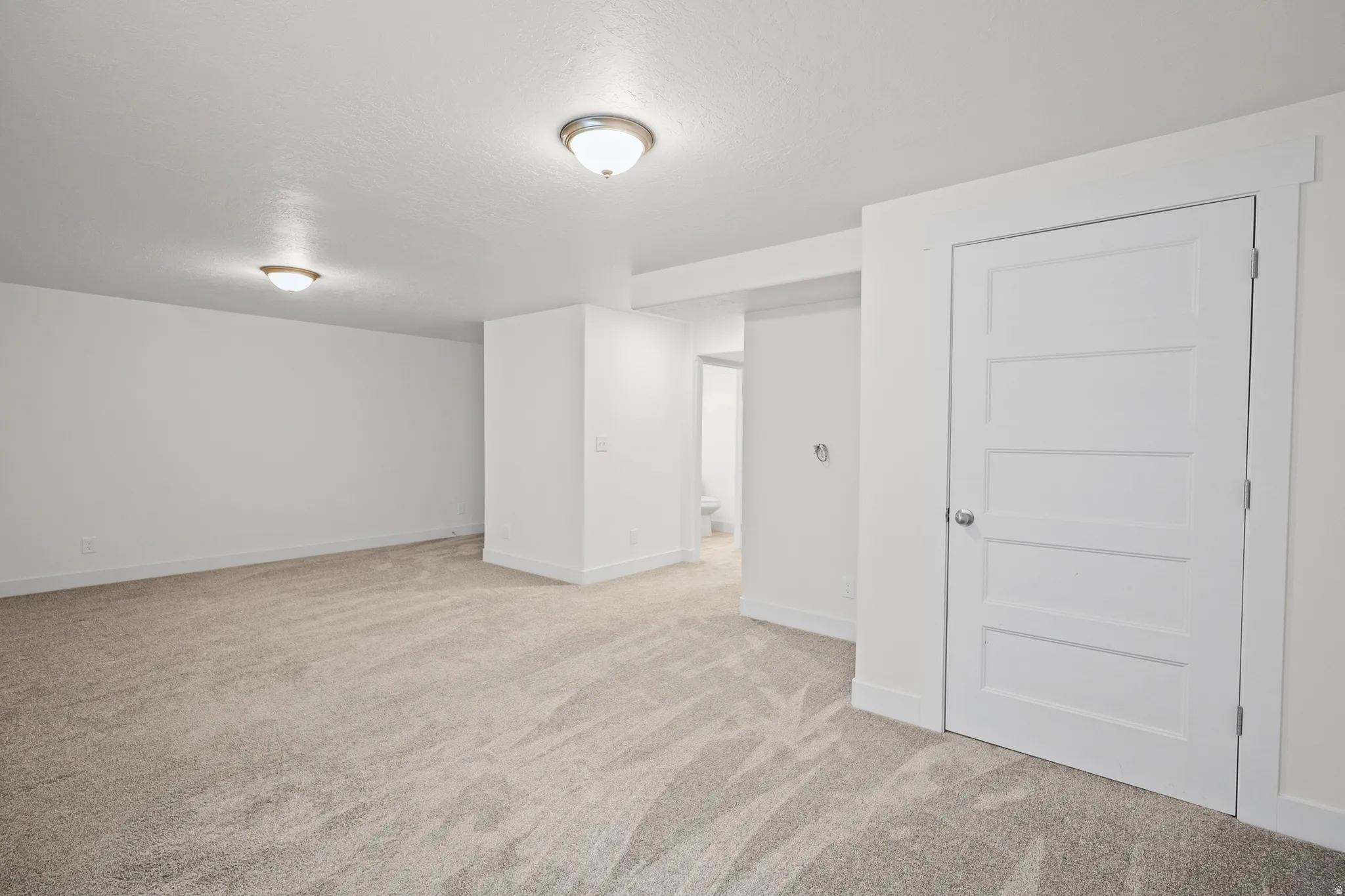 More pictures of basement