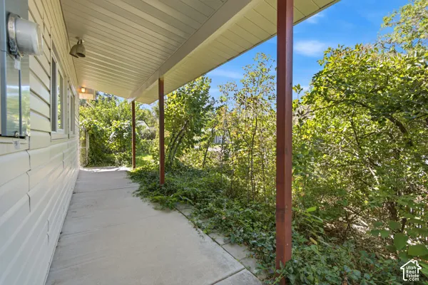 Covered porch with concrete flooring and natural landscaping