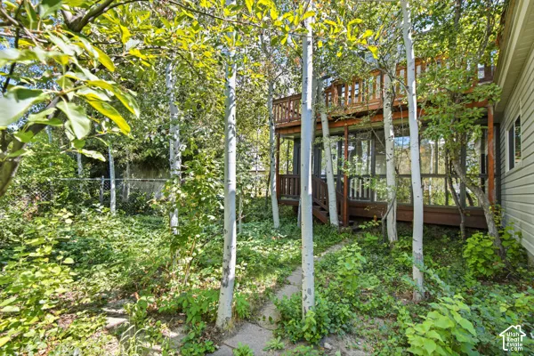 Multi-level wood deck with privacy railing, full-height windows, and mature trees