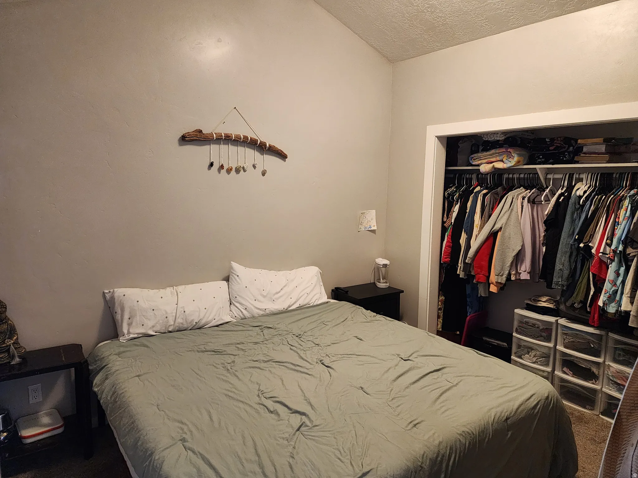 Vaulted ceiling room with an open closet featuring built-in shelving