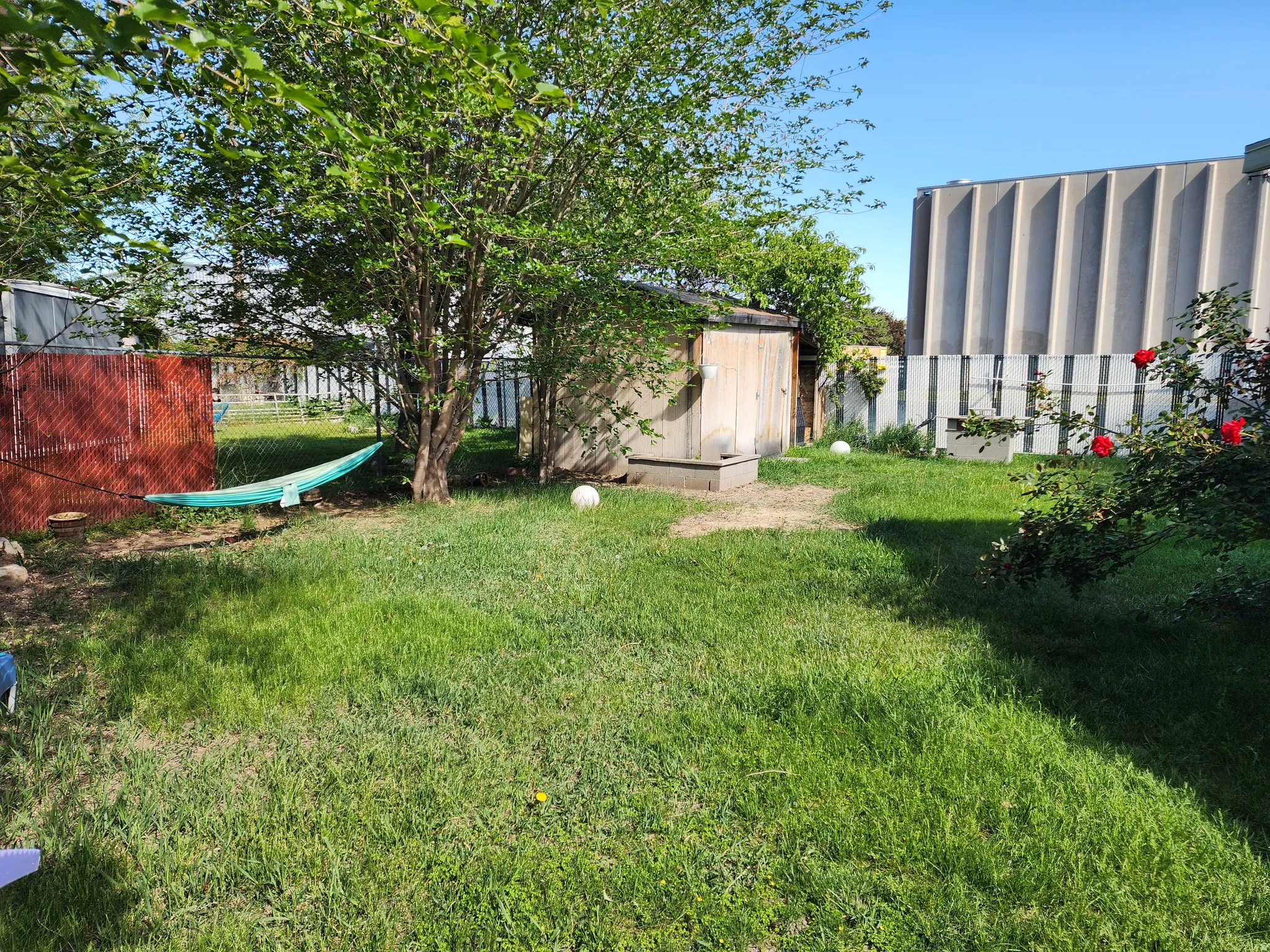 Expansive green lawn with mature trees and established plantings