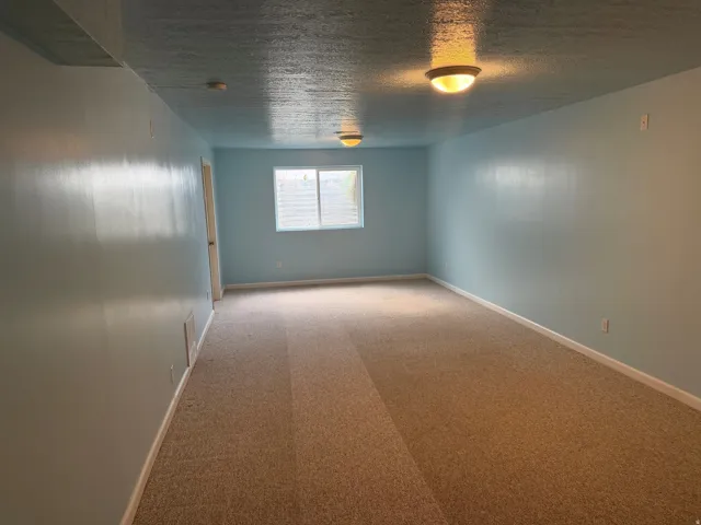 Carpeted flooring, painted walls, ceiling-mounted lighting, and a window with blinds