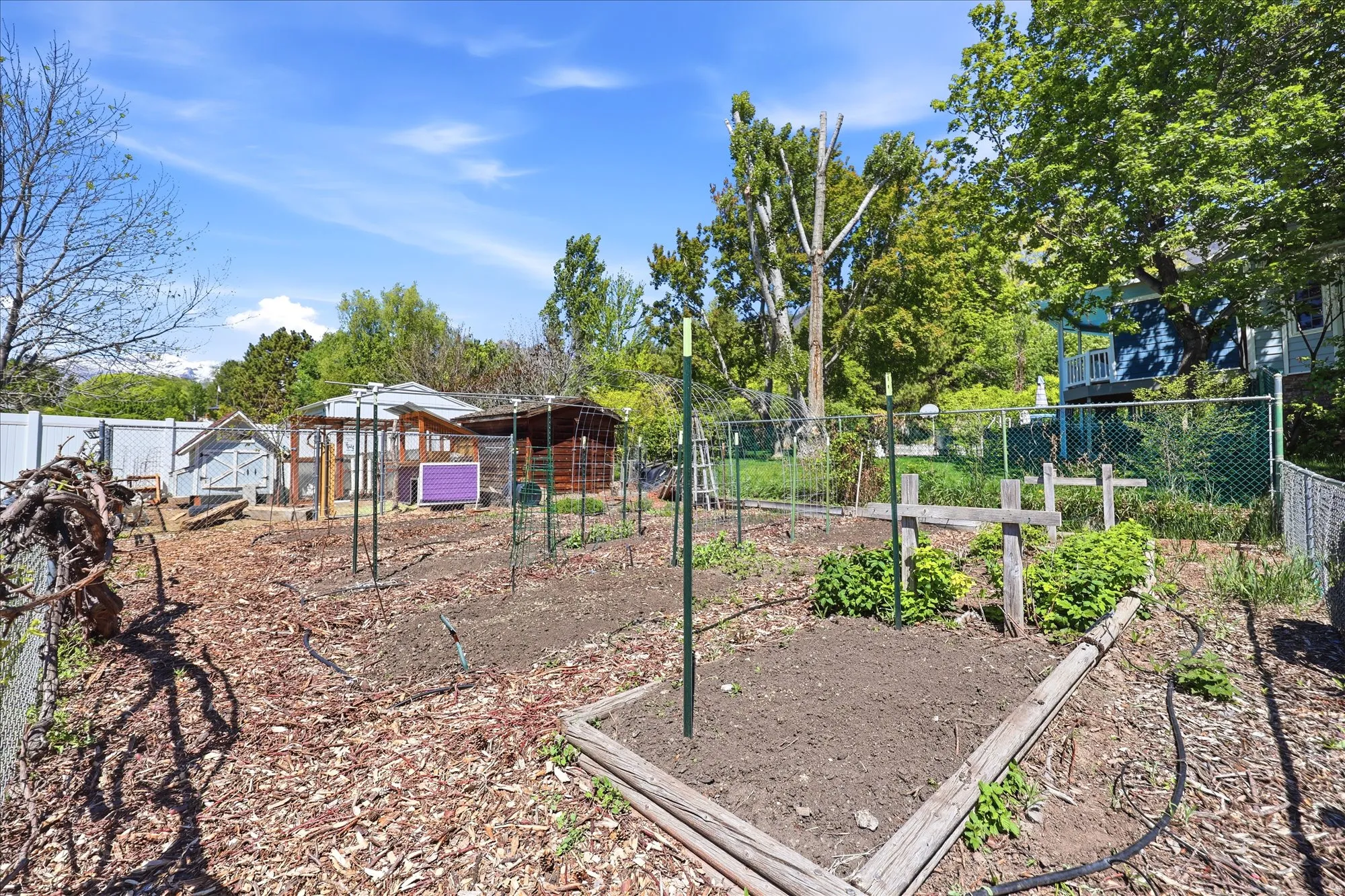 Expansive garden area featuring multiple raised beds, a wood-chip mulched path, and fenced enclosures