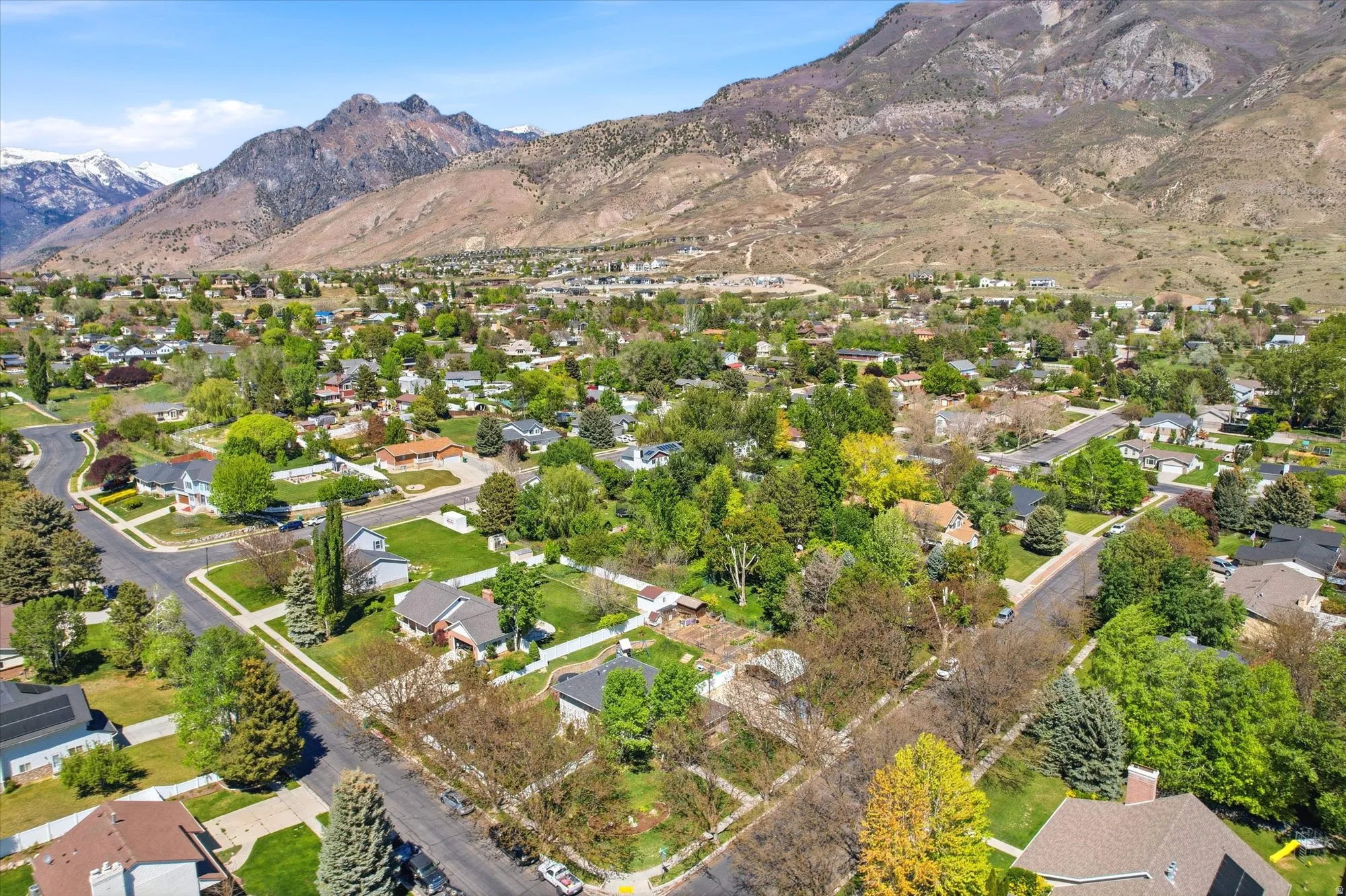 Expansive aerial capturing a suburban neighborhood with tree-lined streets and individual properties