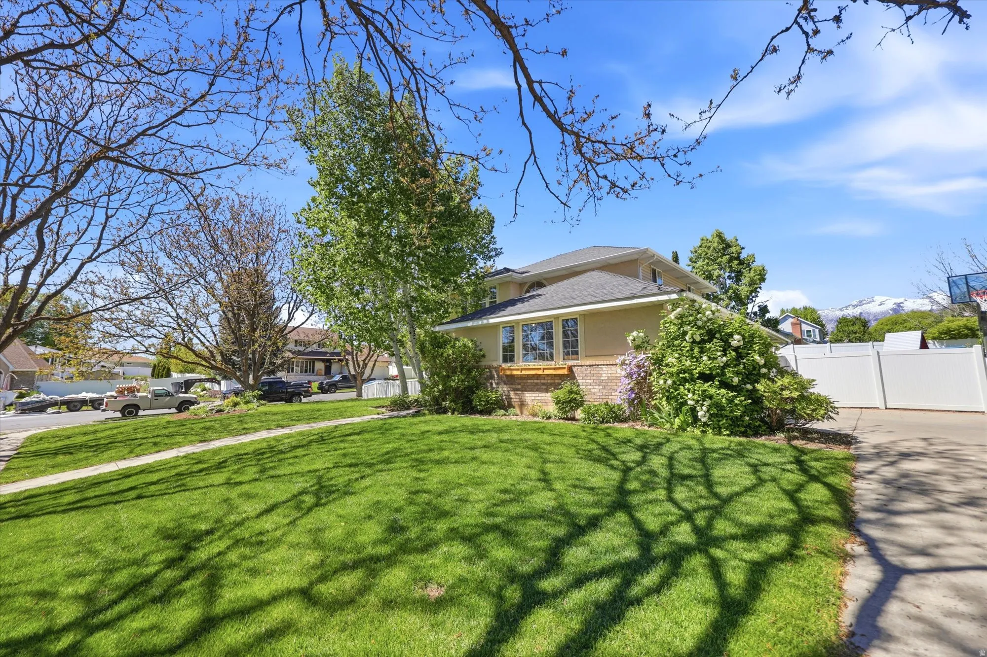Lush green lawn with mature trees and a paved driveway