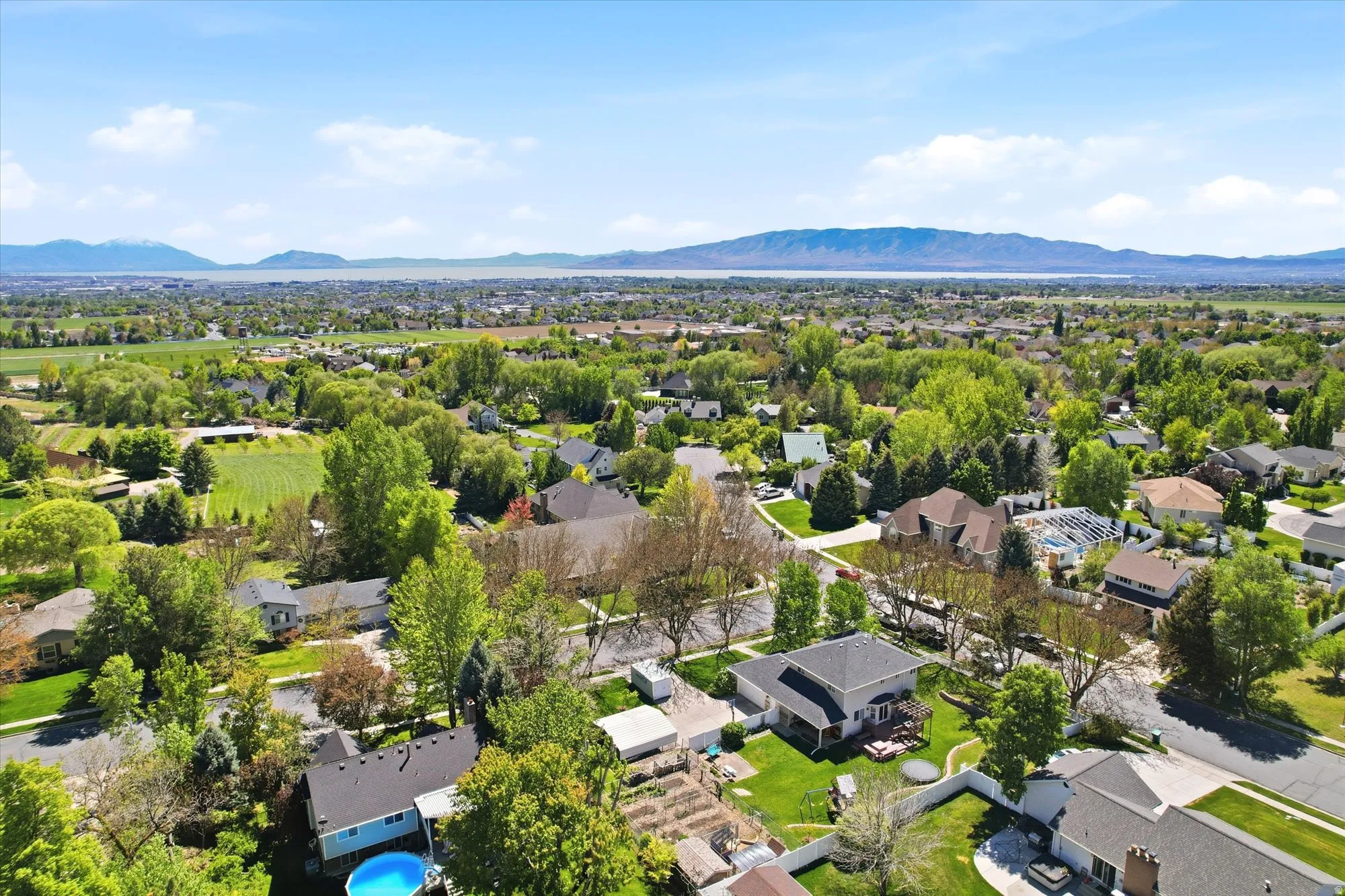 Sprawling residential landscape featuring mature trees and distant mountain ranges