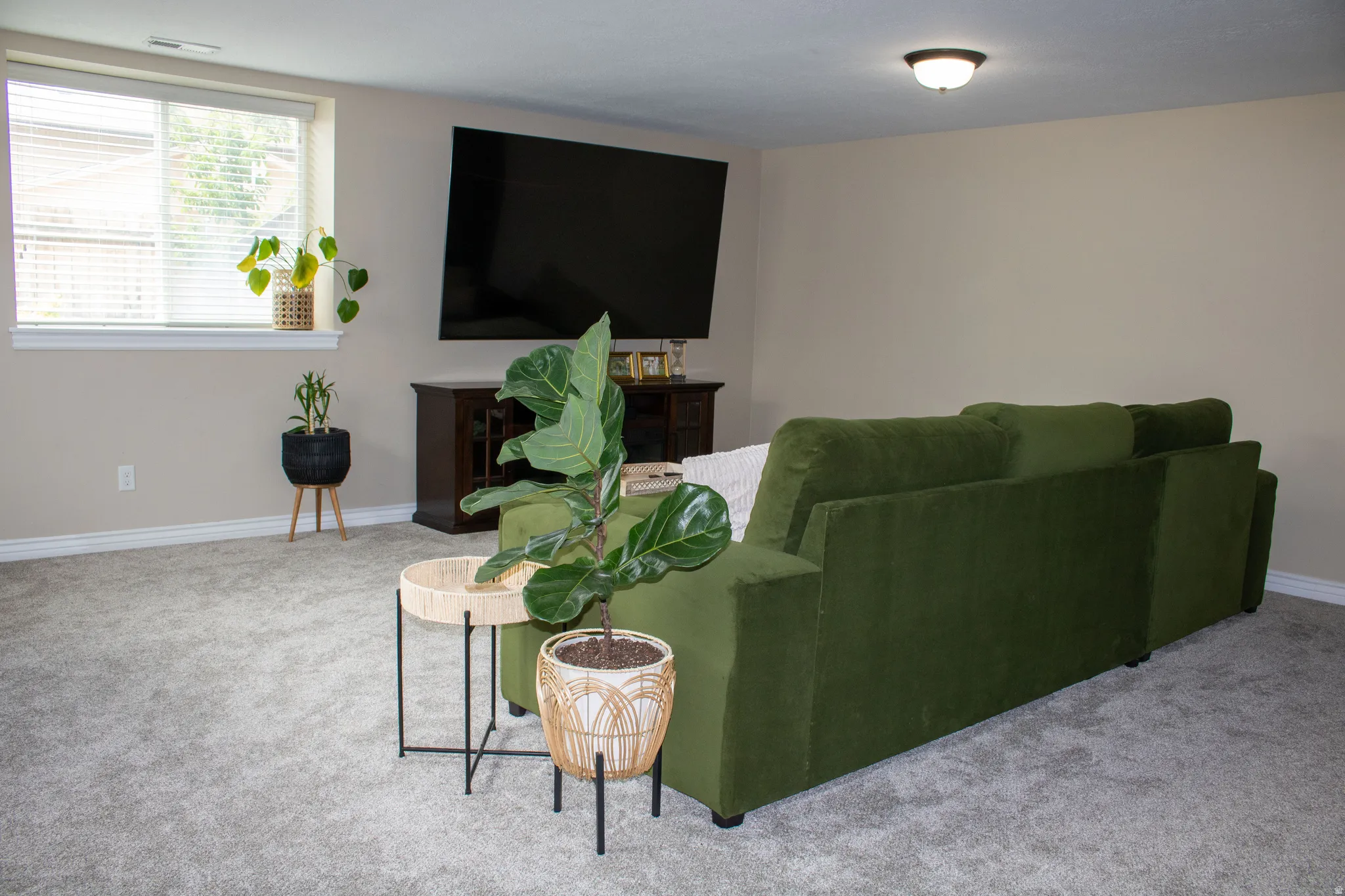 Plush gray carpeting throughout the room