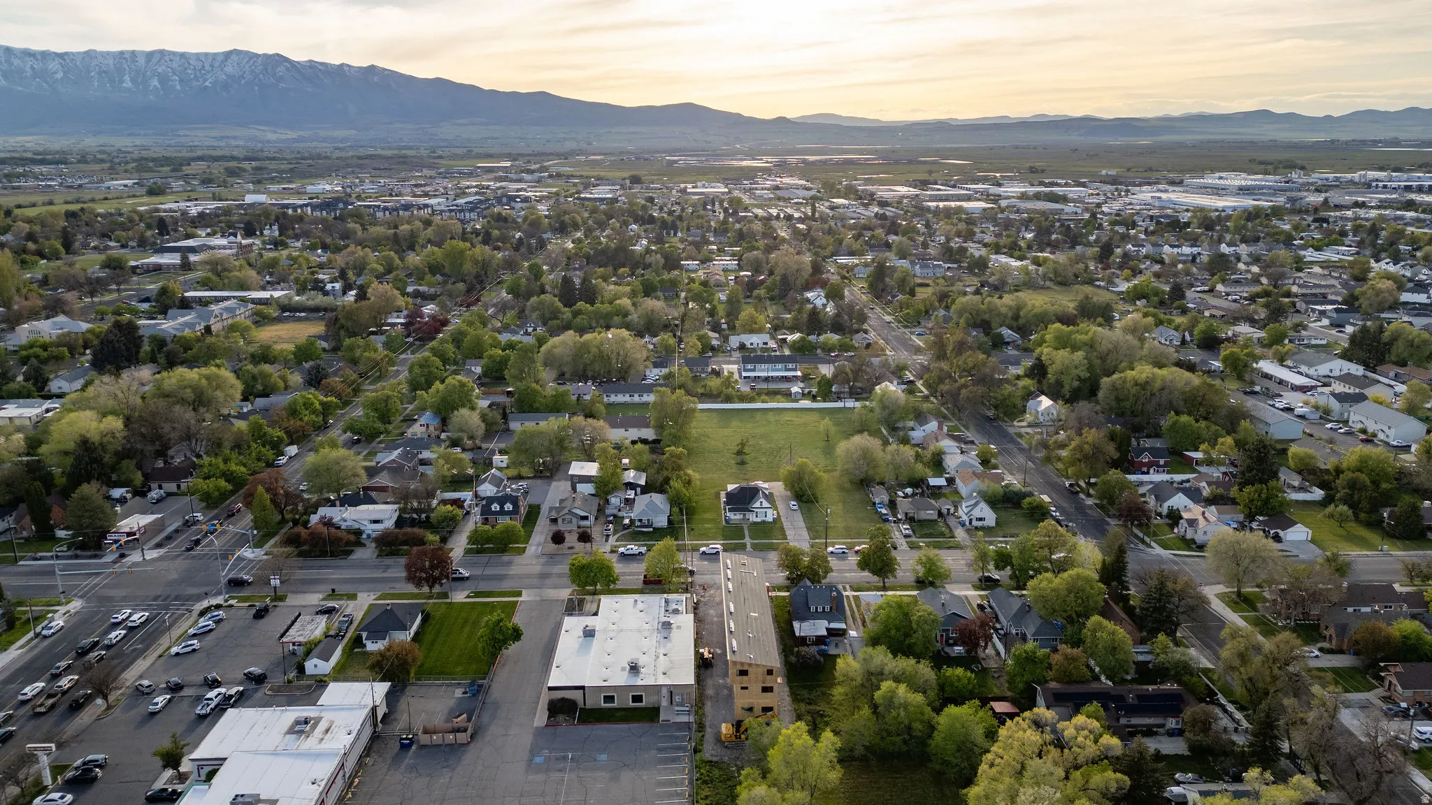 Expansive aerial view showcasing a residential area with mature tree-lined streets and scattered commercial buildings