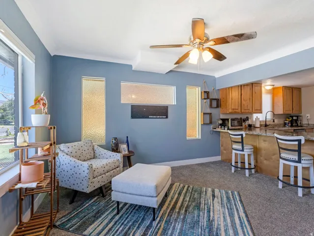 Living area featuring textured glass transom windows, a ceiling fan, and carpet flooring