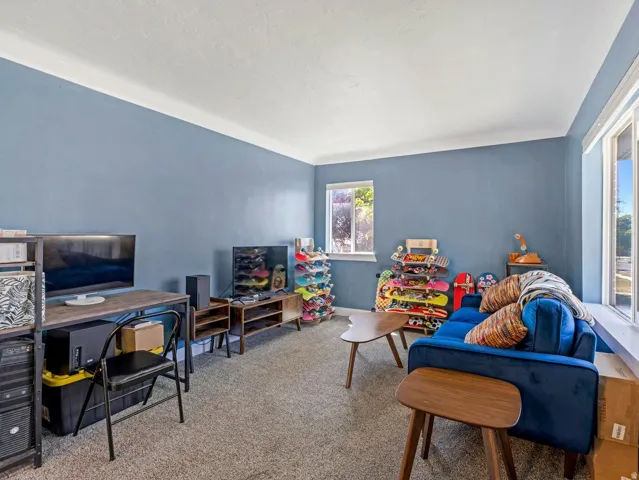 Spacious room featuring multiple windows with white trim, blue painted walls, white crown molding, and light-colored carpeting