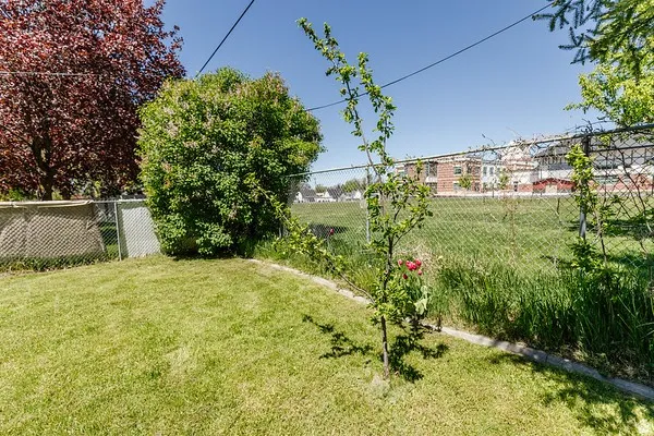 Expansive grassy yard with mature trees and a chain-link fence