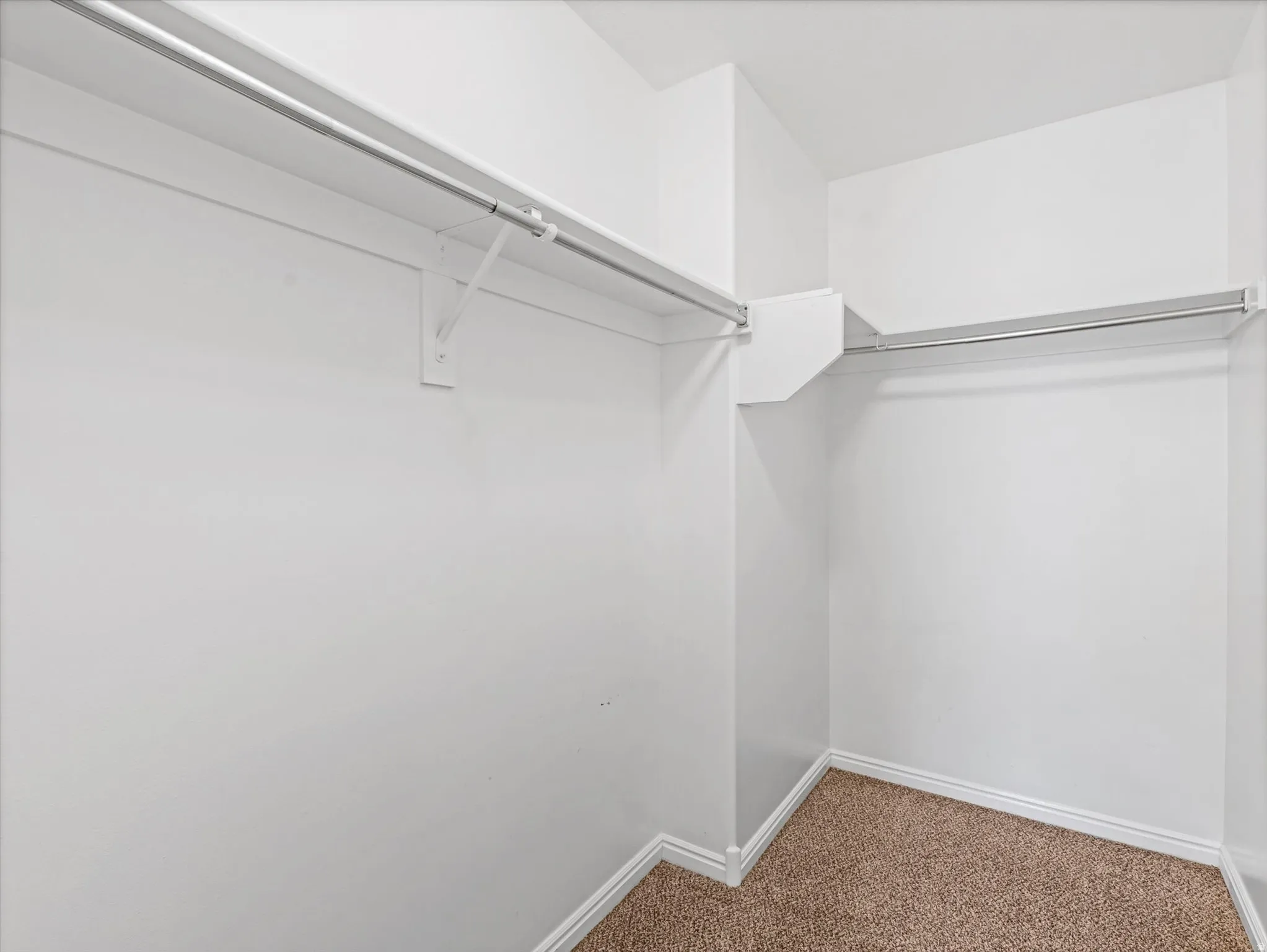 Walk-in closet featuring white painted walls, white shelving, metal hanging rods, and textured brown carpeting