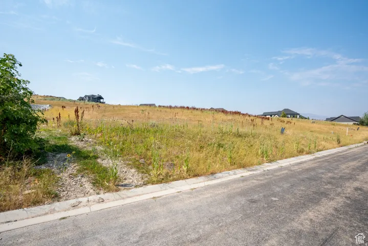 Expansive undeveloped lot with existing road frontage and curb