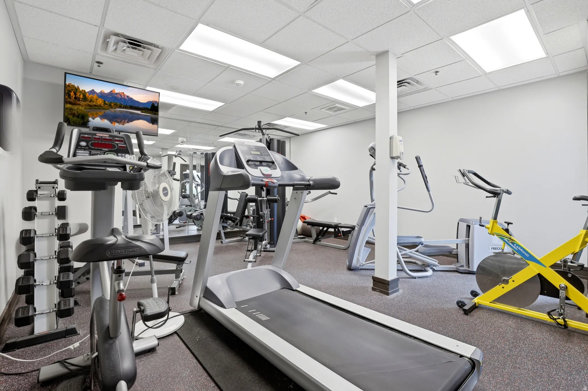Dedicated fitness space featuring a dropped ceiling with integrated lighting