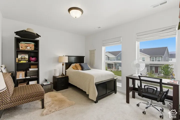 Bright bedroom featuring light gray carpeting, two large windows with Roman shades, a dark wood-finish bed frame, and a flush-mount ceiling light