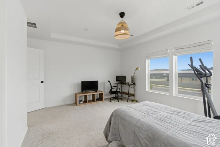 Room featuring a tray ceiling, light-colored carpeting, and two large windows with white blinds