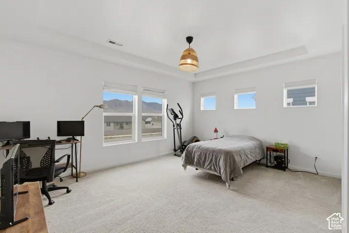 Spacious room featuring light-toned carpeting and a recessed ceiling design