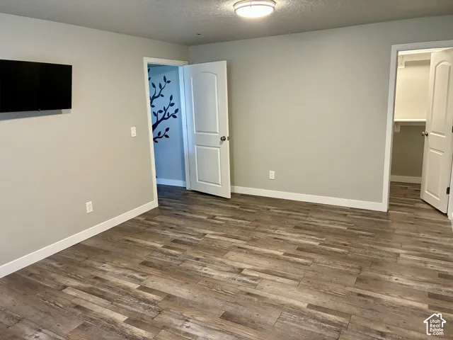 Wood-finish flooring, light gray wall paint, and a built-in closet with shelving