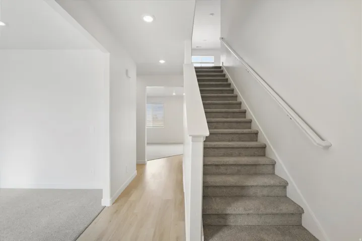 Carpeted staircase with white handrail and baluster