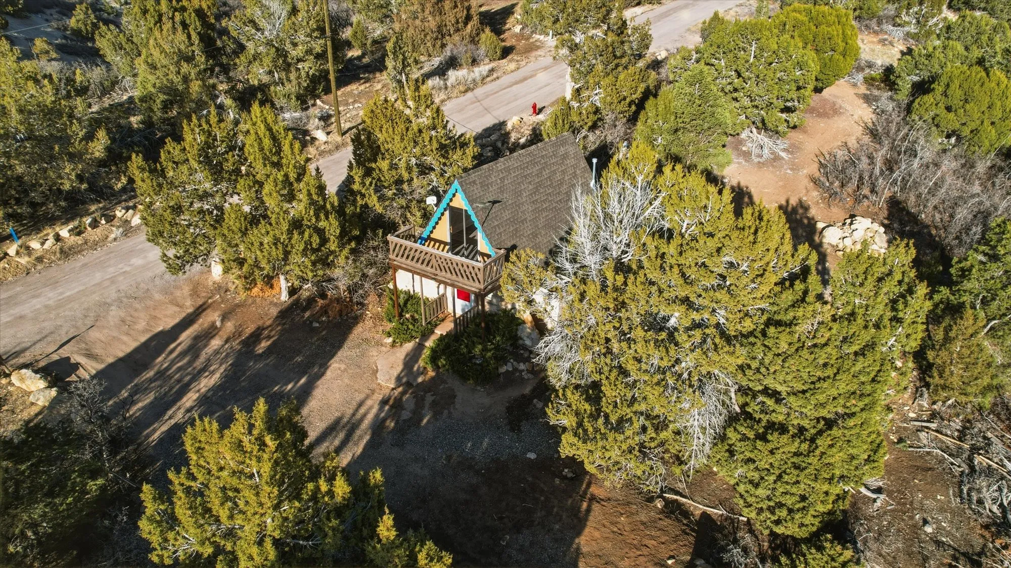 Drone / aerial view of a tree filled landscape