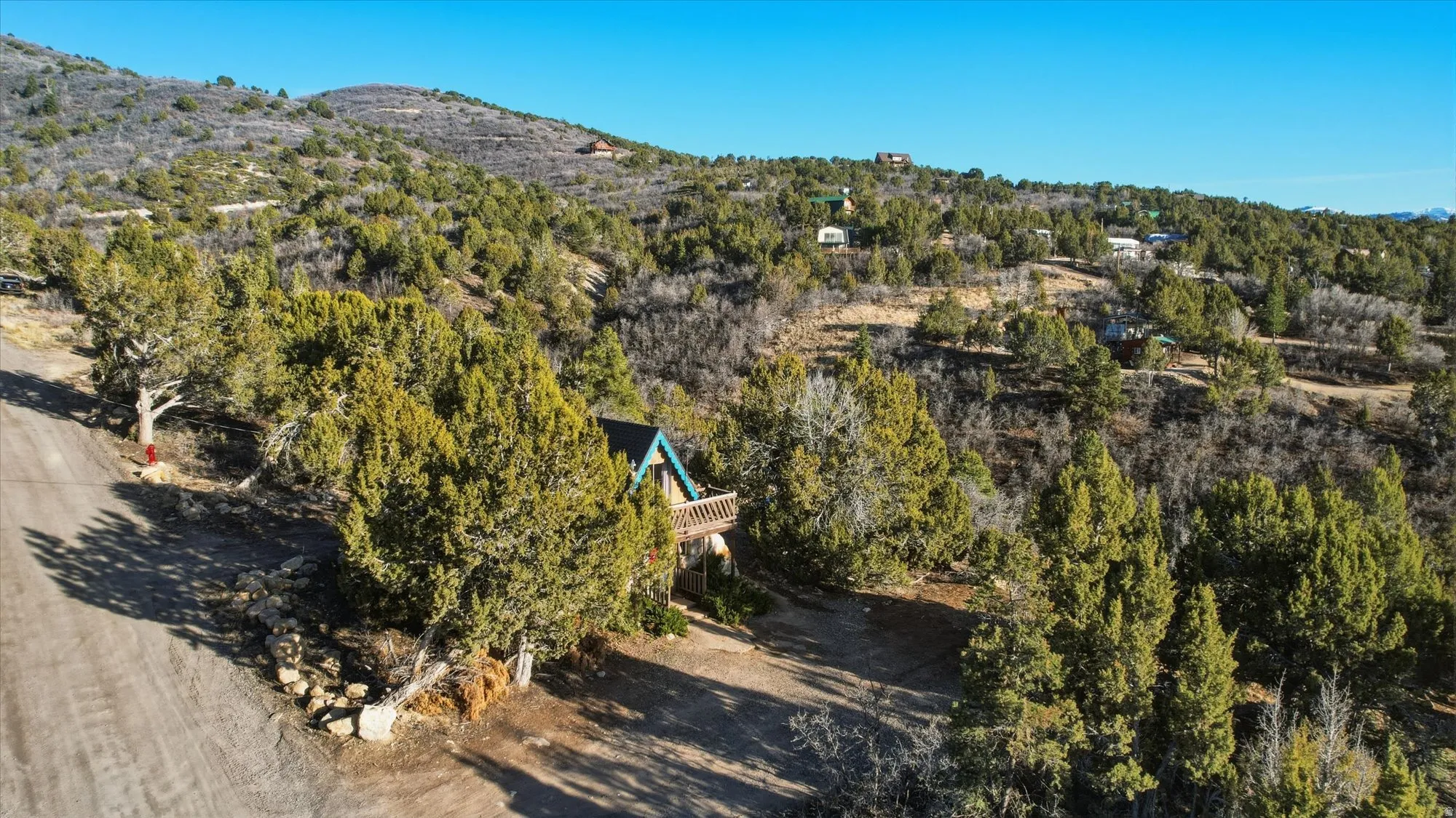 Bird's eye view of a forest and a mountainous background