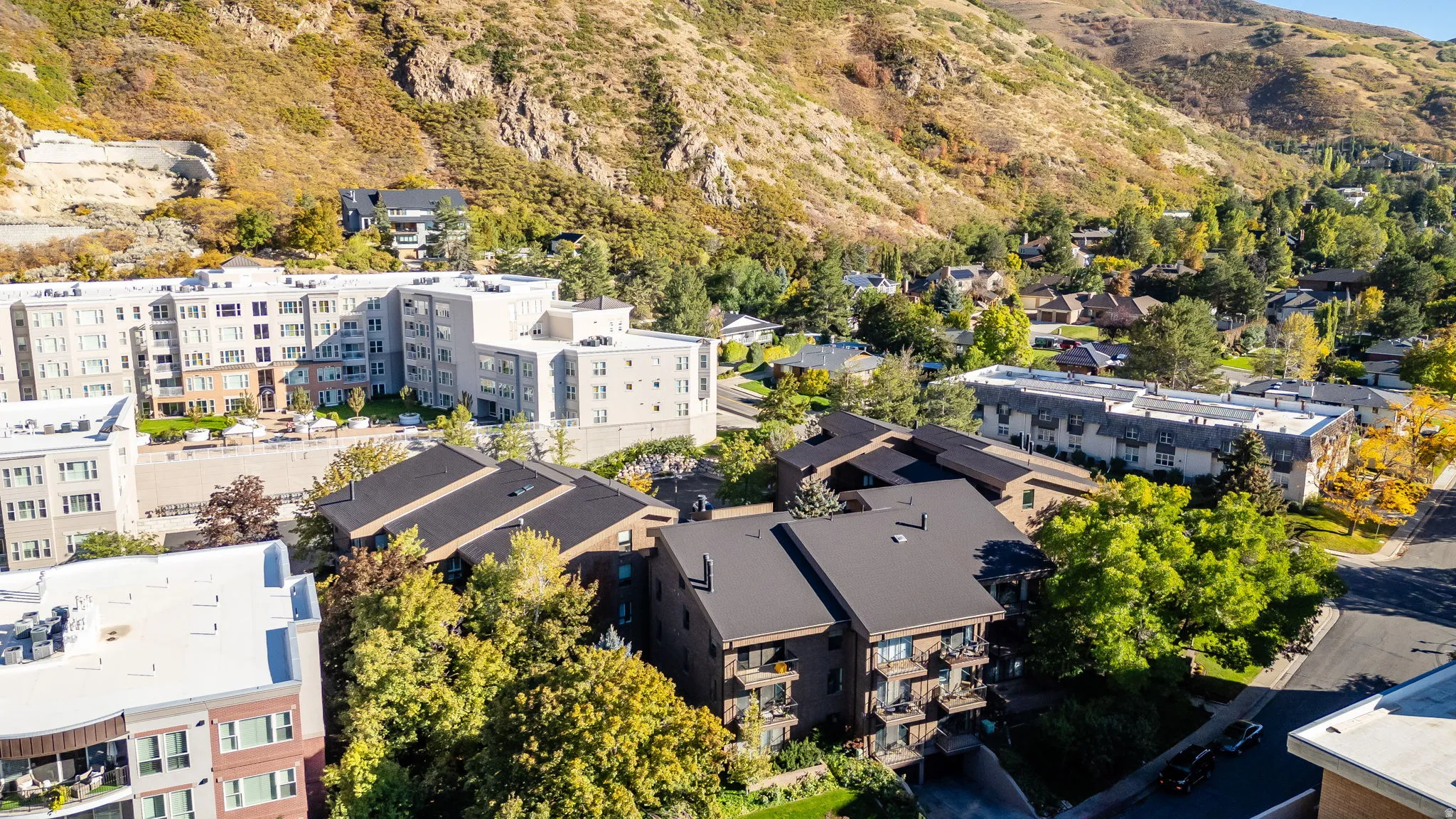 Multi-story residential buildings with flat and sloped roofs, surrounded by mature trees