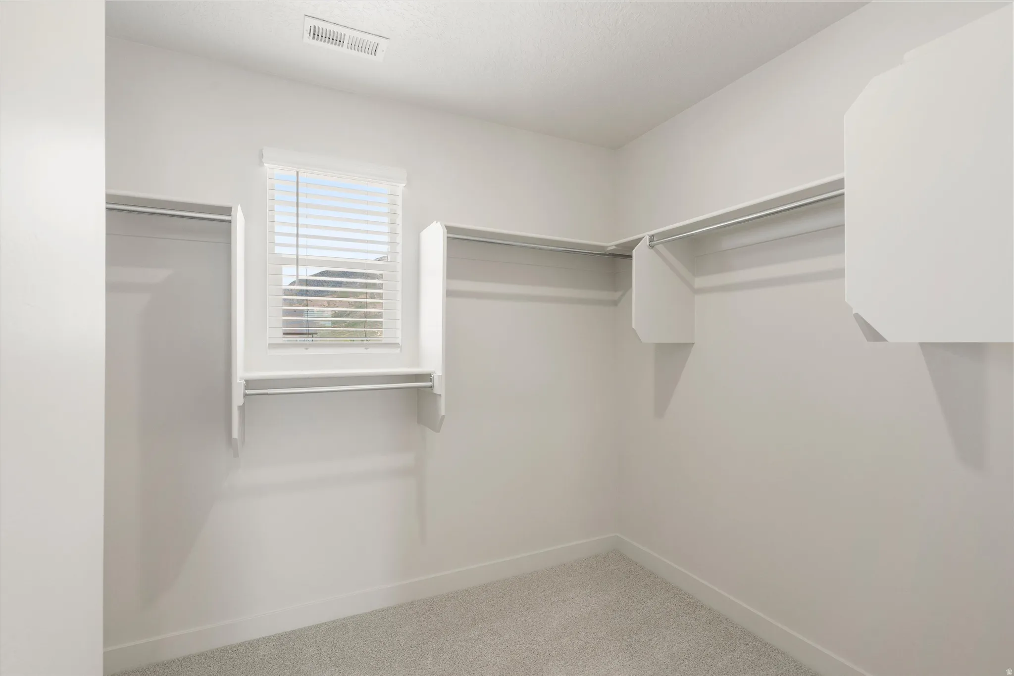 Carpeted closet space featuring ample shelving and hanging rods