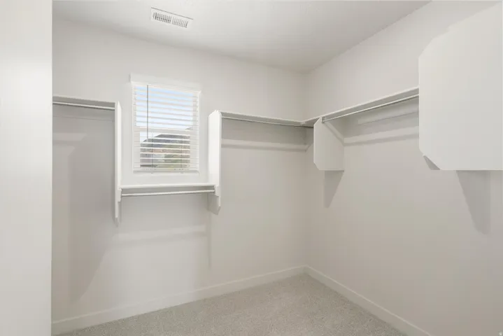 Carpeted closet space featuring ample shelving and hanging rods