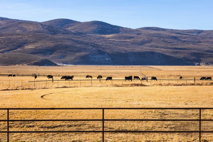 307 W Lazy Acres Ln, Kamas, Utah 84036