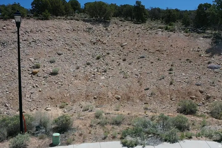 Sloped terrain featuring natural desert landscaping and scattered small trees