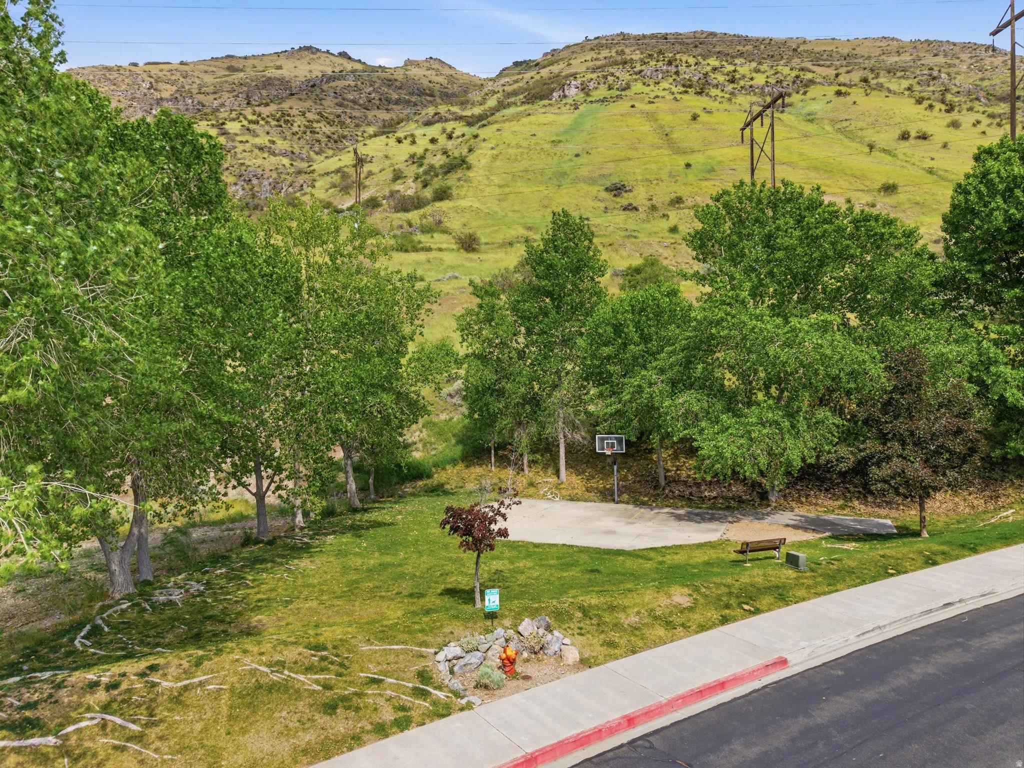 Basketball court bordered by mature trees and natural landscaping
